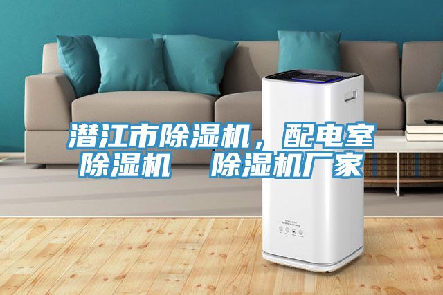 潛江市除濕機(jī)，配電室除濕機(jī)  除濕機(jī)廠家