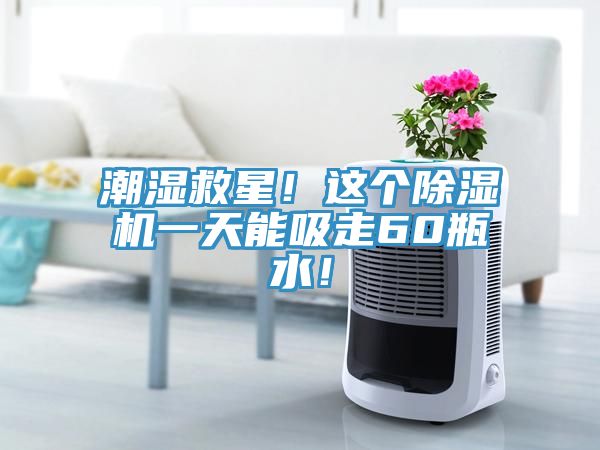 潮濕救星！這個(gè)除濕機(jī)一天能吸走60瓶水！