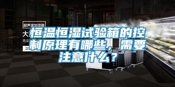 恒溫恒濕試驗(yàn)箱的控制原理有哪些，需要注意什么？