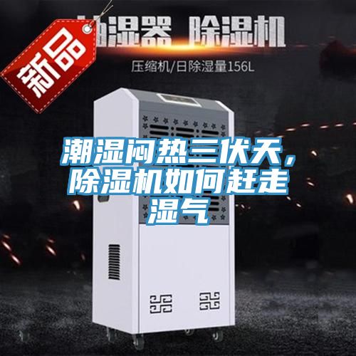 潮濕悶熱三伏天，除濕機如何趕走濕氣