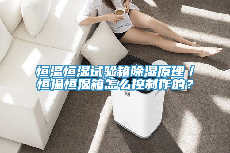 恒溫恒濕試驗箱除濕原理／恒溫恒濕箱怎么控制作的？