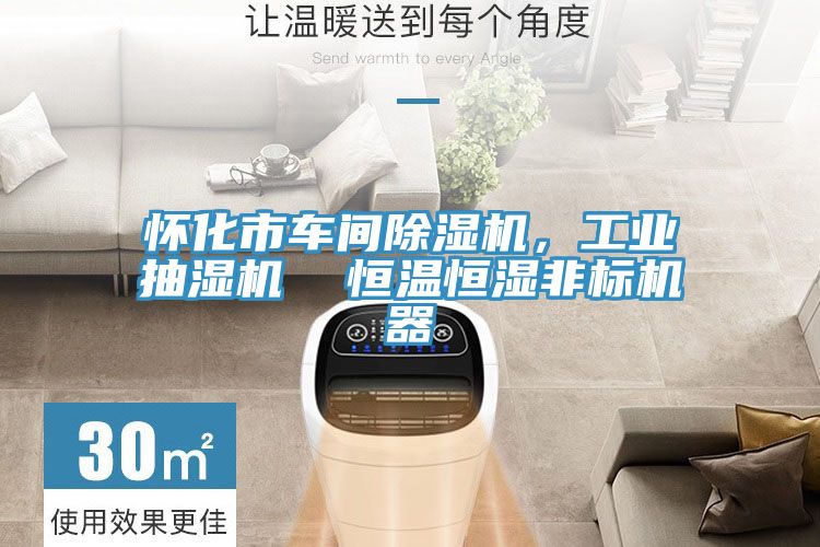 懷化市車間除濕機(jī)，工業(yè)抽濕機(jī)  恒溫恒濕非標(biāo)機(jī)器