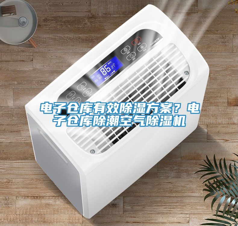 電子倉庫有效除濕方案？電子倉庫除潮空氣除濕機(jī)