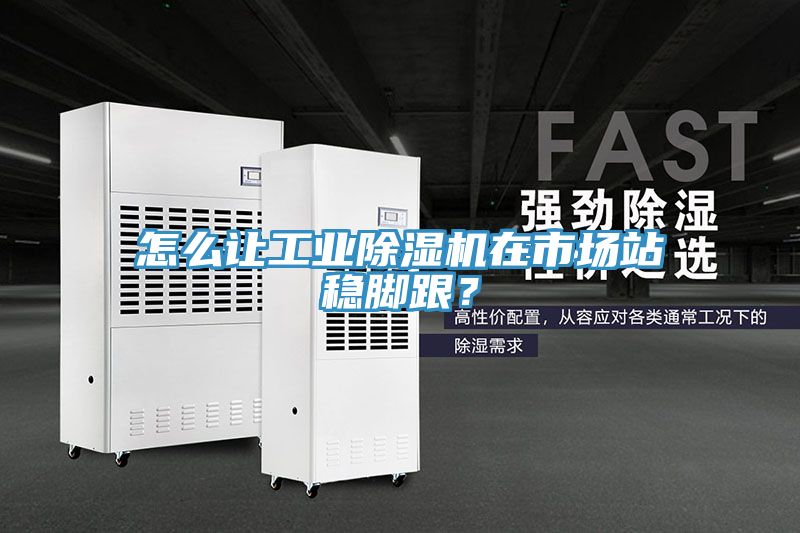 怎么讓工業(yè)除濕機(jī)在市場站穩(wěn)腳跟？