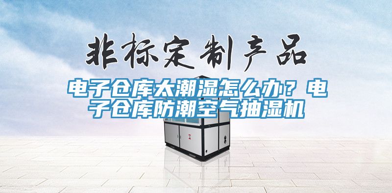 電子倉庫太潮濕怎么辦？電子倉庫防潮空氣抽濕機(jī)