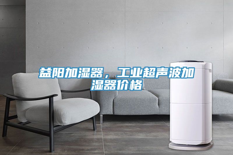 益陽(yáng)加濕器，工業(yè)超聲波加濕器價(jià)格