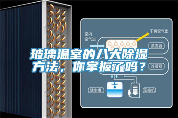 玻璃溫室的八大除濕方法，你掌握了嗎？