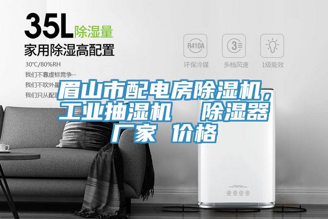 眉山市配電房除濕機(jī)，工業(yè)抽濕機(jī)  除濕器廠家 價(jià)格