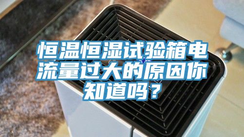 恒溫恒濕試驗箱電流量過大的原因你知道嗎？