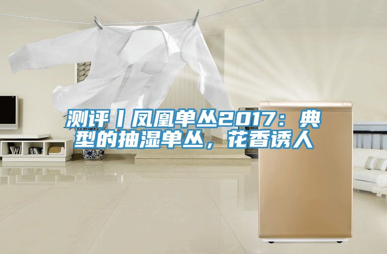 測評(píng)丨鳳凰單叢2017：典型的抽濕單叢，花香誘人