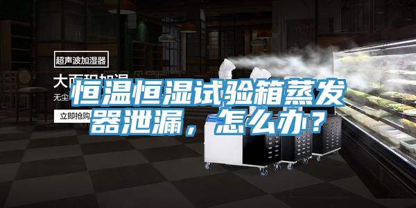 恒溫恒濕試驗箱蒸發(fā)器泄漏，怎么辦？