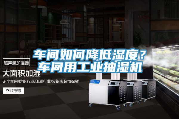 車間如何降低濕度？車間用工業(yè)抽濕機
