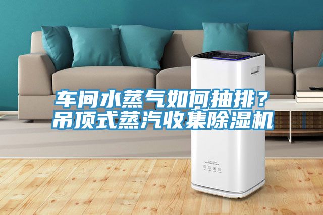 車間水蒸氣如何抽排？吊頂式蒸汽收集除濕機
