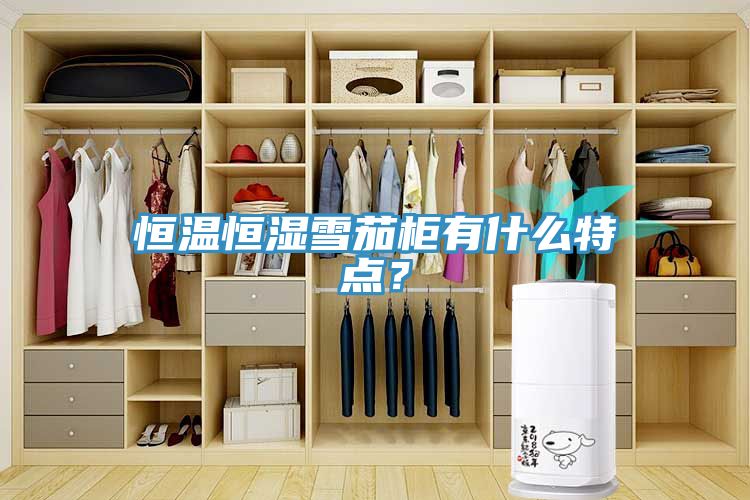 恒溫恒濕雪茄柜有什么特點(diǎn)？