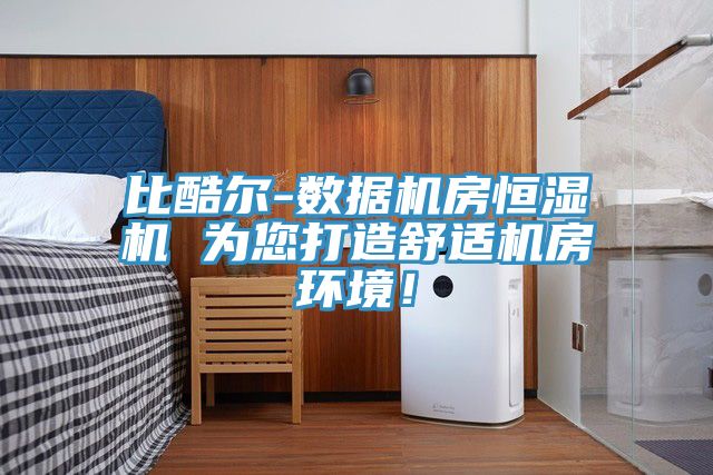 比酷爾-數(shù)據(jù)機(jī)房恒濕機(jī) 為您打造舒適機(jī)房環(huán)境！