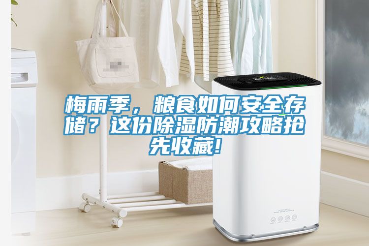 梅雨季，糧食如何安全存儲(chǔ)？這份除濕防潮攻略搶先收藏!