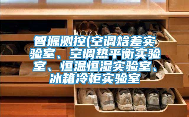 智源測(cè)控(空調(diào)焓差實(shí)驗(yàn)室、空調(diào)熱平衡實(shí)驗(yàn)室、恒溫恒濕實(shí)驗(yàn)室、冰箱冷柜實(shí)驗(yàn)室