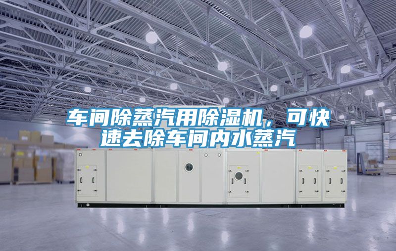 車間除蒸汽用除濕機(jī)，可快速去除車間內(nèi)水蒸汽