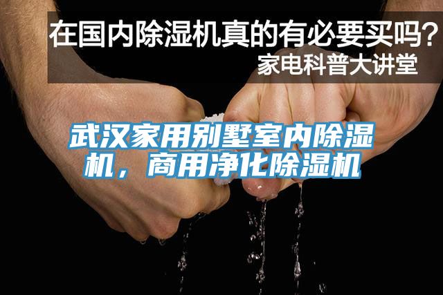 武漢家用別墅室內(nèi)除濕機(jī)，商用凈化除濕機(jī)