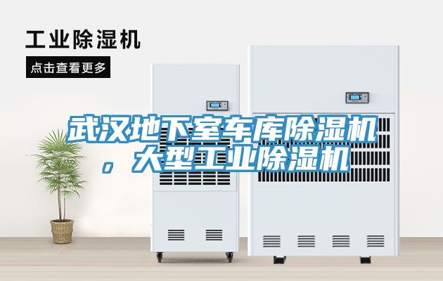 武漢地下室車庫除濕機，大型工業(yè)除濕機
