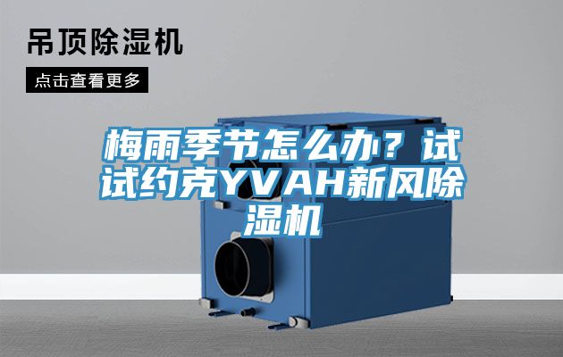 梅雨季節(jié)怎么辦？試試約克YVAH新風(fēng)除濕機(jī)