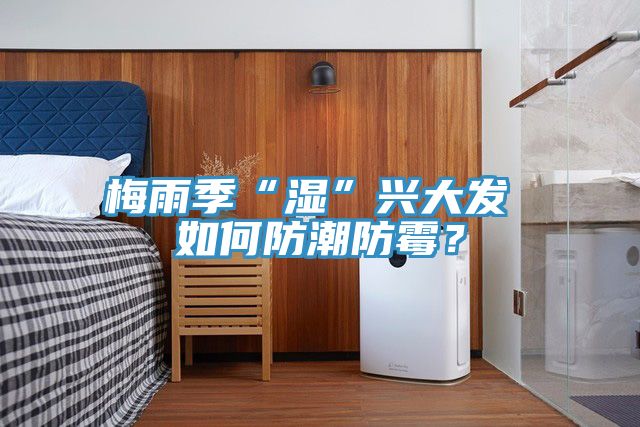 梅雨季“濕”興大發(fā) 如何防潮防霉？