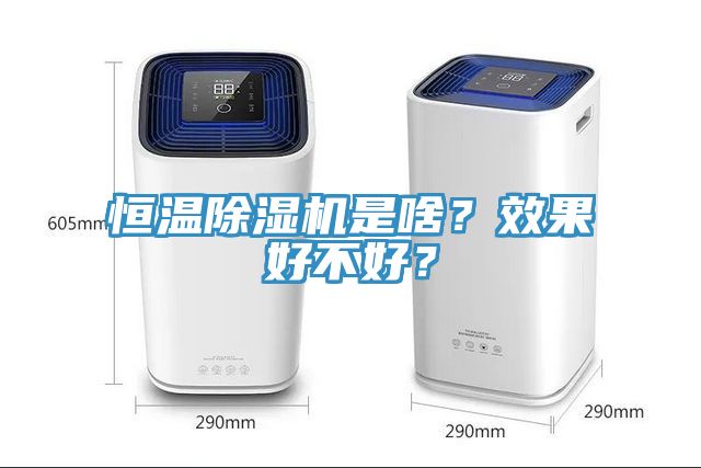 恒溫除濕機是啥？效果好不好？