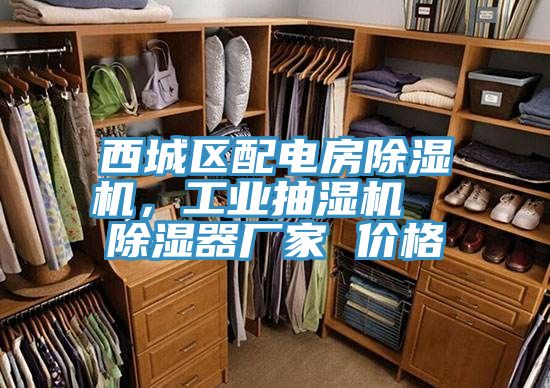 西城區(qū)配電房除濕機(jī)，工業(yè)抽濕機(jī)  除濕器廠家 價(jià)格