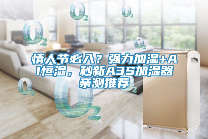 情人節(jié)必入？強(qiáng)力加濕+AI恒濕，秒新A3S加濕器親測(cè)推薦