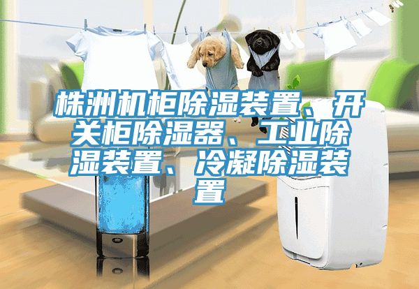 株洲機柜除濕裝置、開關柜除濕器、工業(yè)除濕裝置、冷凝除濕裝置