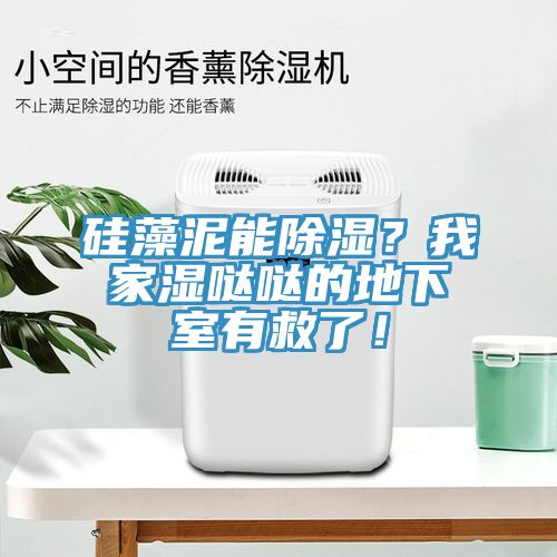 硅藻泥能除濕？我家濕噠噠的地下室有救了！