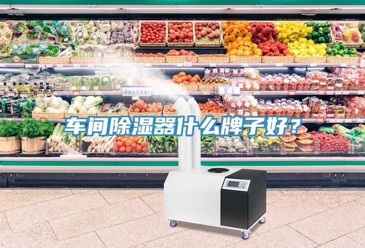 車間除濕器什么牌子好？