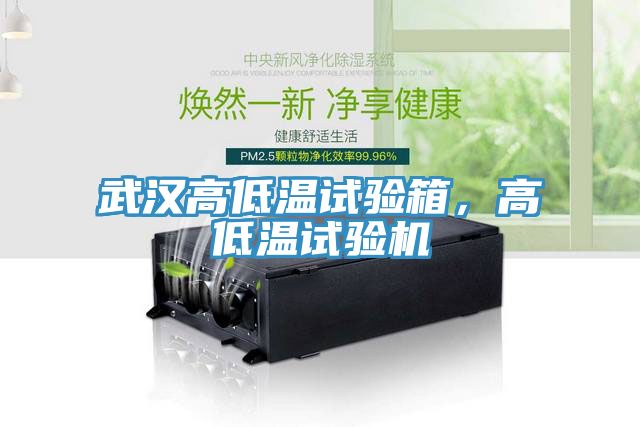武漢高低溫試驗(yàn)箱，高低溫試驗(yàn)機(jī)