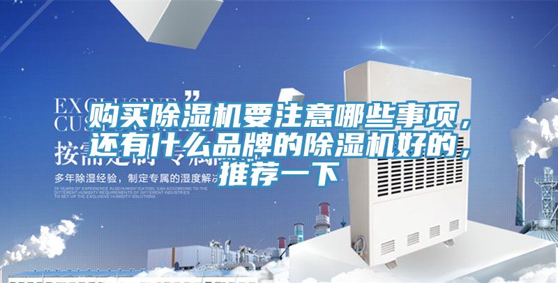購買除濕機(jī)要注意哪些事項(xiàng)，還有什么品牌的除濕機(jī)好的，推薦一下