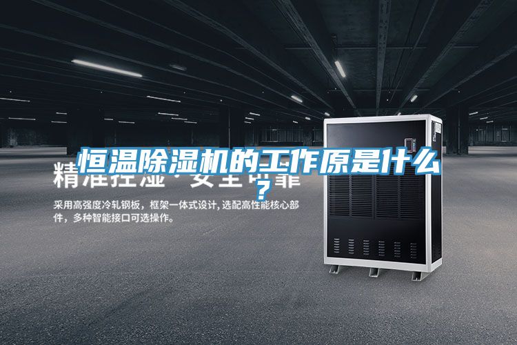 恒溫除濕機的工作原是什么？