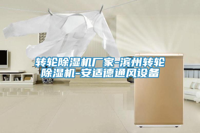 轉(zhuǎn)輪除濕機廠家-濱州轉(zhuǎn)輪除濕機-安適德通風設(shè)備
