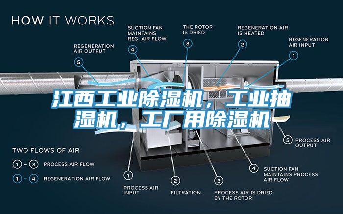 江西工業(yè)除濕機，工業(yè)抽濕機，工廠用除濕機