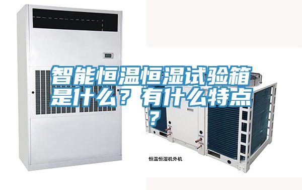 智能恒溫恒濕試驗(yàn)箱是什么？有什么特點(diǎn)？