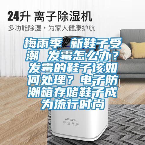 梅雨季 新鞋子受潮 發(fā)霉怎么辦？發(fā)霉的鞋子該如何處理？電子防潮箱存儲鞋子成為流行時尚
