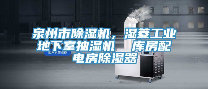 泉州市除濕機，濕菱工業(yè)地下室抽濕機  庫房配電房除濕器