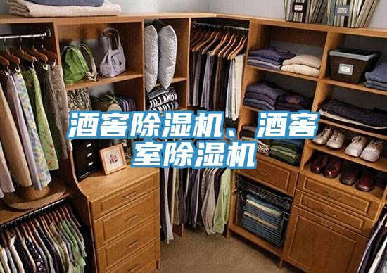 酒窖除濕機(jī)、酒窖室除濕機(jī)