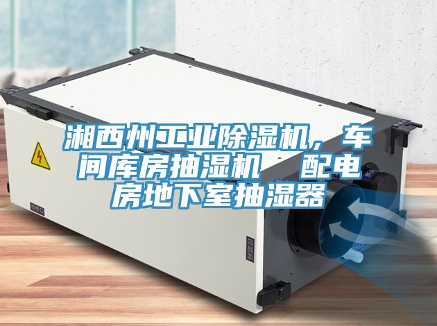 湘西州工業(yè)除濕機(jī)，車間庫房抽濕機(jī)  配電房地下室抽濕器