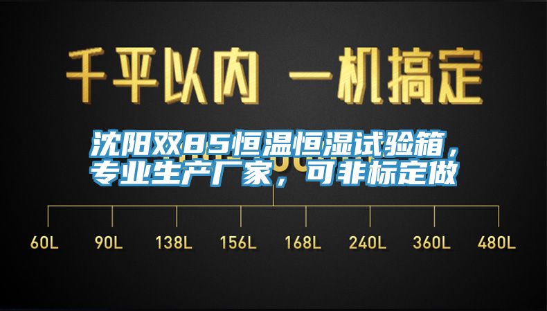 沈陽雙85恒溫恒濕試驗(yàn)箱，專業(yè)生產(chǎn)廠家，可非標(biāo)定做
