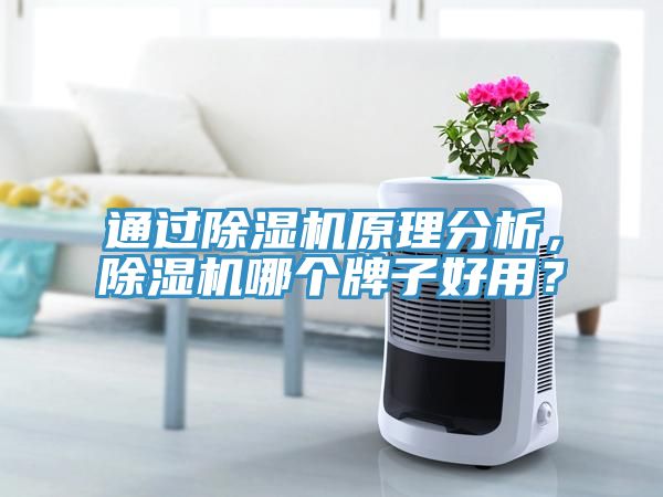 通過除濕機(jī)原理分析，除濕機(jī)哪個牌子好用？