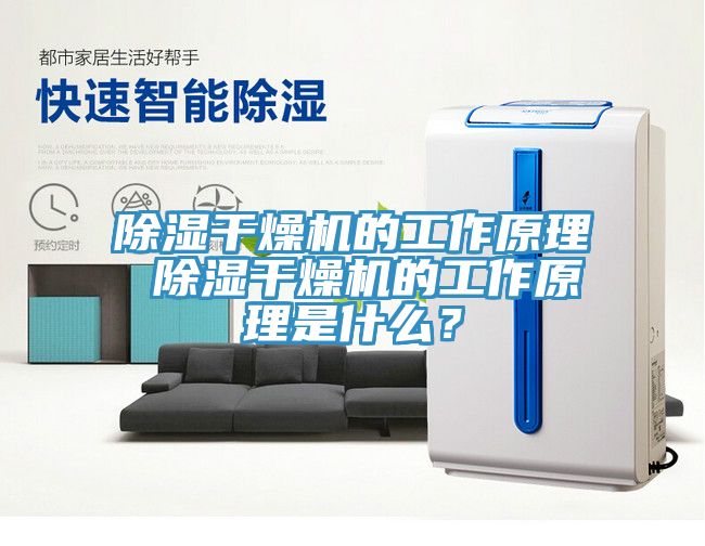 除濕干燥機的工作原理 除濕干燥機的工作原理是什么？
