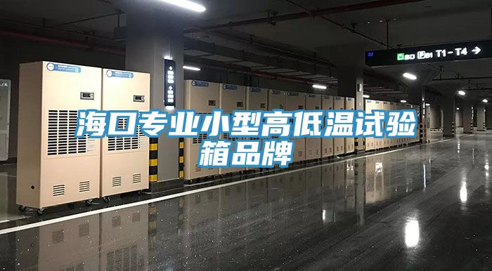 ?？趯I(yè)小型高低溫試驗箱品牌