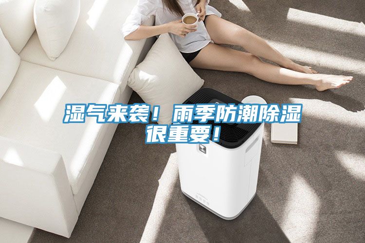 濕氣來襲！雨季防潮除濕很重要！