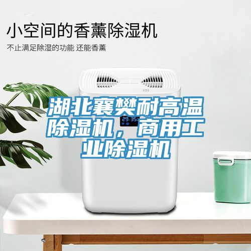 湖北襄樊耐高溫除濕機(jī)，商用工業(yè)除濕機(jī)