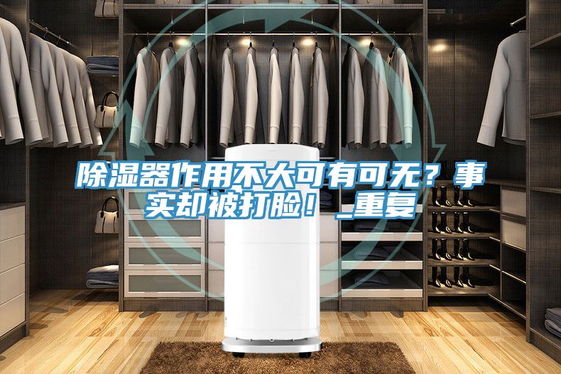 除濕器作用不大可有可無？事實卻被打臉！_重復(fù)