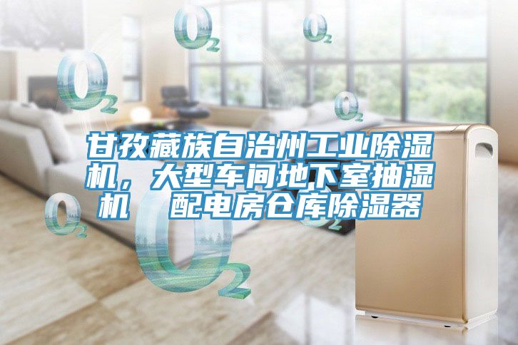 甘孜藏族自治州工業(yè)除濕機，大型車間地下室抽濕機  配電房倉庫除濕器